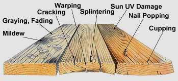 wood_damage_diagram